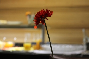 bilbao hotel sercotel coliseo flor desayuno (2)